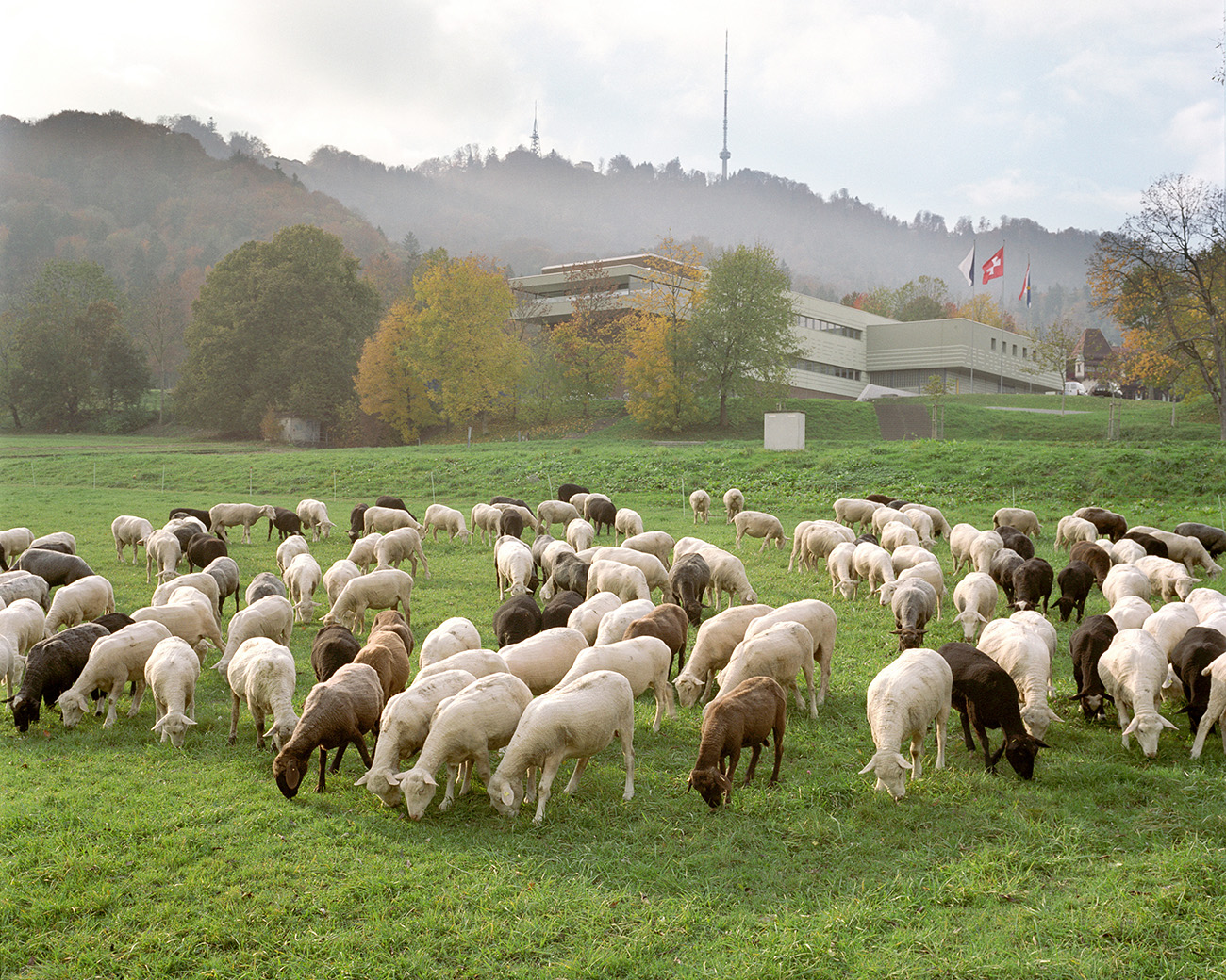 Foto Marc Latzel, Zuerich