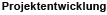 Projektentwicklung