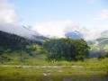 DSC02108.jpg: 350x263, 14k (March 03, 2008, at 02:55 PM)