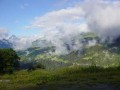 DSC02109.jpg: 350x263, 12k (March 03, 2008, at 02:55 PM)