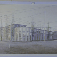 Hannes Luz_SP.jpg