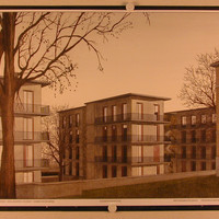 1-Budelmann-AP.jpg
