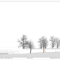 schnitt100.2.jpg