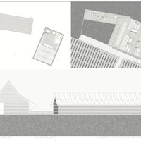 Grewe-Rellmann_Julius_Plots007.jpg