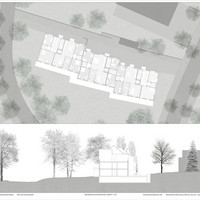 Plot8_DG_Schnitt.jpg