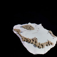 Pierre Schmid-Eman 012.jpg