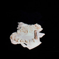 Silke Hopf-001.jpg