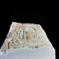 Valerio Olgiati-025.jpg