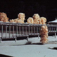 Conradi Clavuot-009.jpg