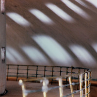 Daniele Toschini-022.jpg