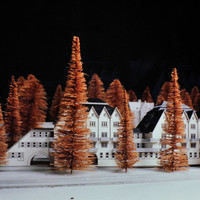 GP06_Smolenicky Jozo_WS86-87_Planung Riesbach_008.jpg