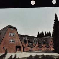 Quintus Miller-011.jpg
