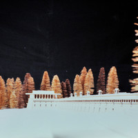 Terri Kueng-004.jpg