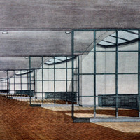 Peter Wenig-004.jpg