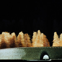 A DellAntonio-026.jpg