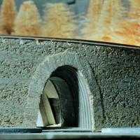 A DellAntonio-001.jpg