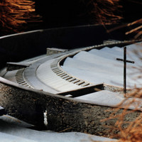 A DellAntonio-038.jpg