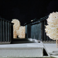 Roberto Lueder-032.jpg