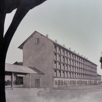 Tino Somm-001.jpg
