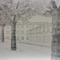 Salomon Schindler-002.jpg