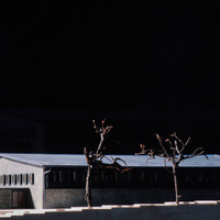 Agnes Dec-041.jpg