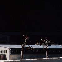 Agnes Dec-054.jpg