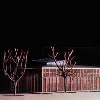 Thomas Schnabel-001.jpg