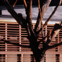 Thomas Schnabel-009.jpg