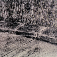 Peter Olah-024.jpg