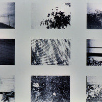 Marti Siegenthaler-017.jpg