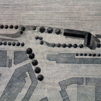 M Siegenthaler-031.jpg