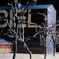 M Siegenthaler-040.jpg