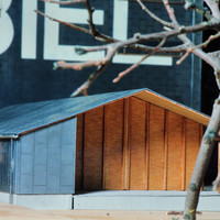 M Siegenthaler-047.jpg