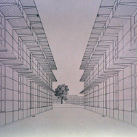 Cyrill Weber-009.jpg