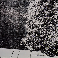 Stefan Jauslin-027.jpg