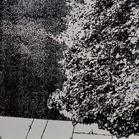 Stefan Jauslin-032.jpg