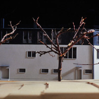 Dominik Moser-005.jpg