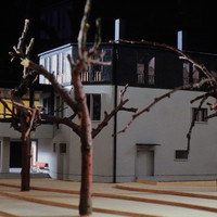Dominik Moser-015.jpg