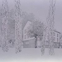Martin Briner-003.jpg