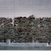 Marc Svimbersky-015.jpg