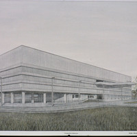 Stefan Hare-001.jpg